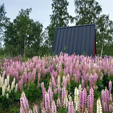 Kemping Glamping Hut With Panorama View Bjorkoby